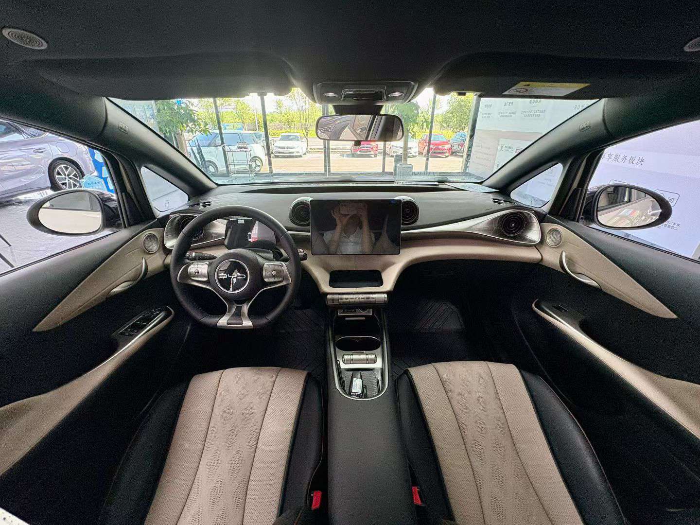 BYD Dolphin 2023 420KM Fashion Edition 9
