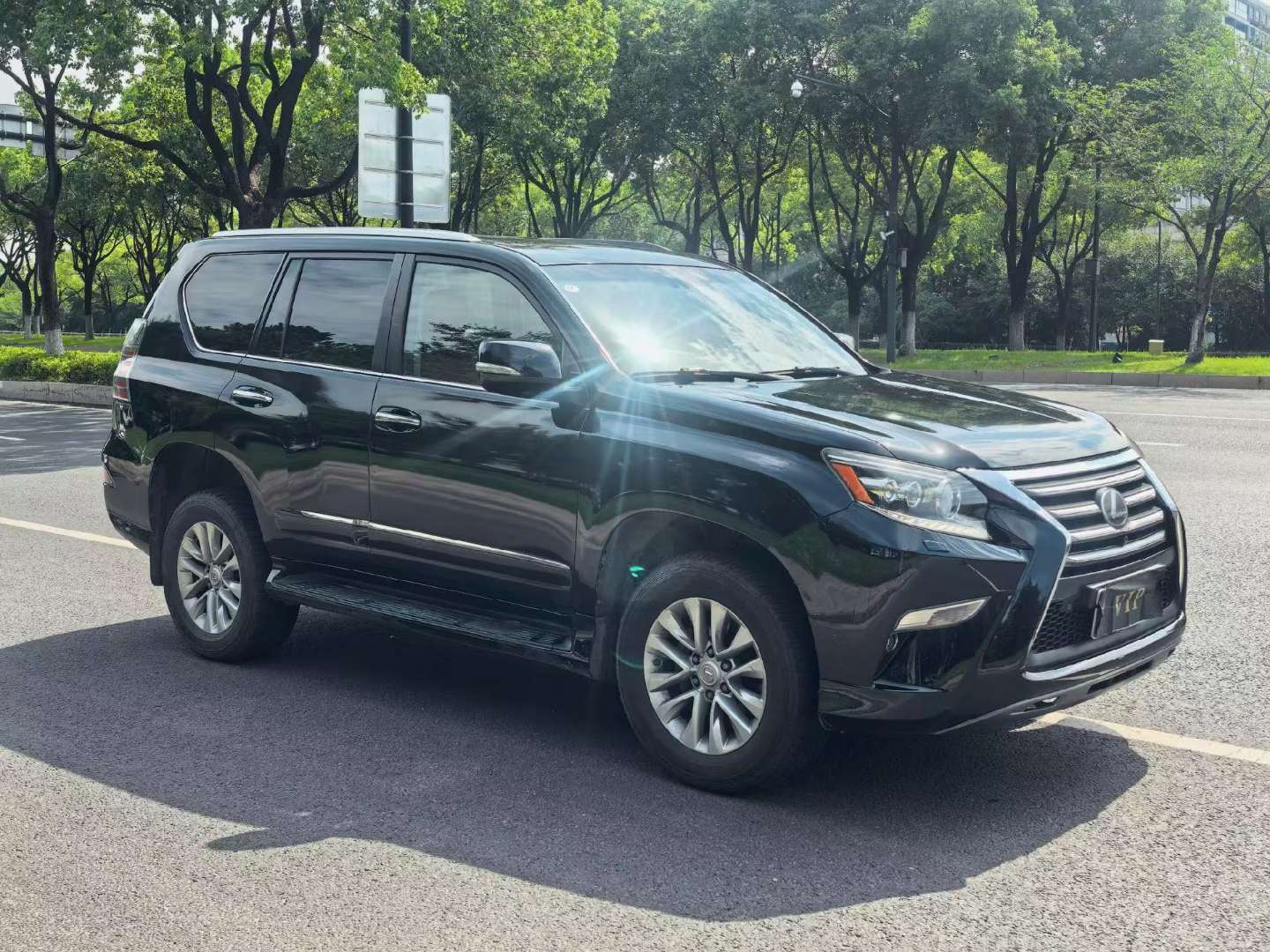 Lexus GX 2014 4.0L Premium 3
