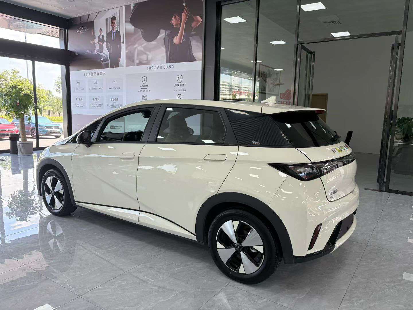 BYD Dolphin 2023 420KM Fashion Edition 4