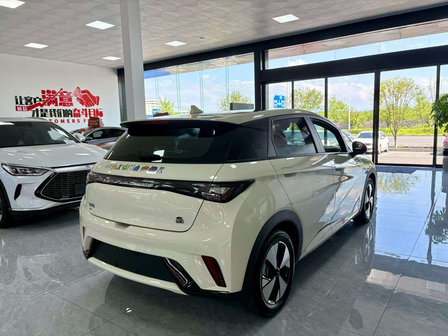 BYD Dolphin 2023 420KM Fashion Edition 5