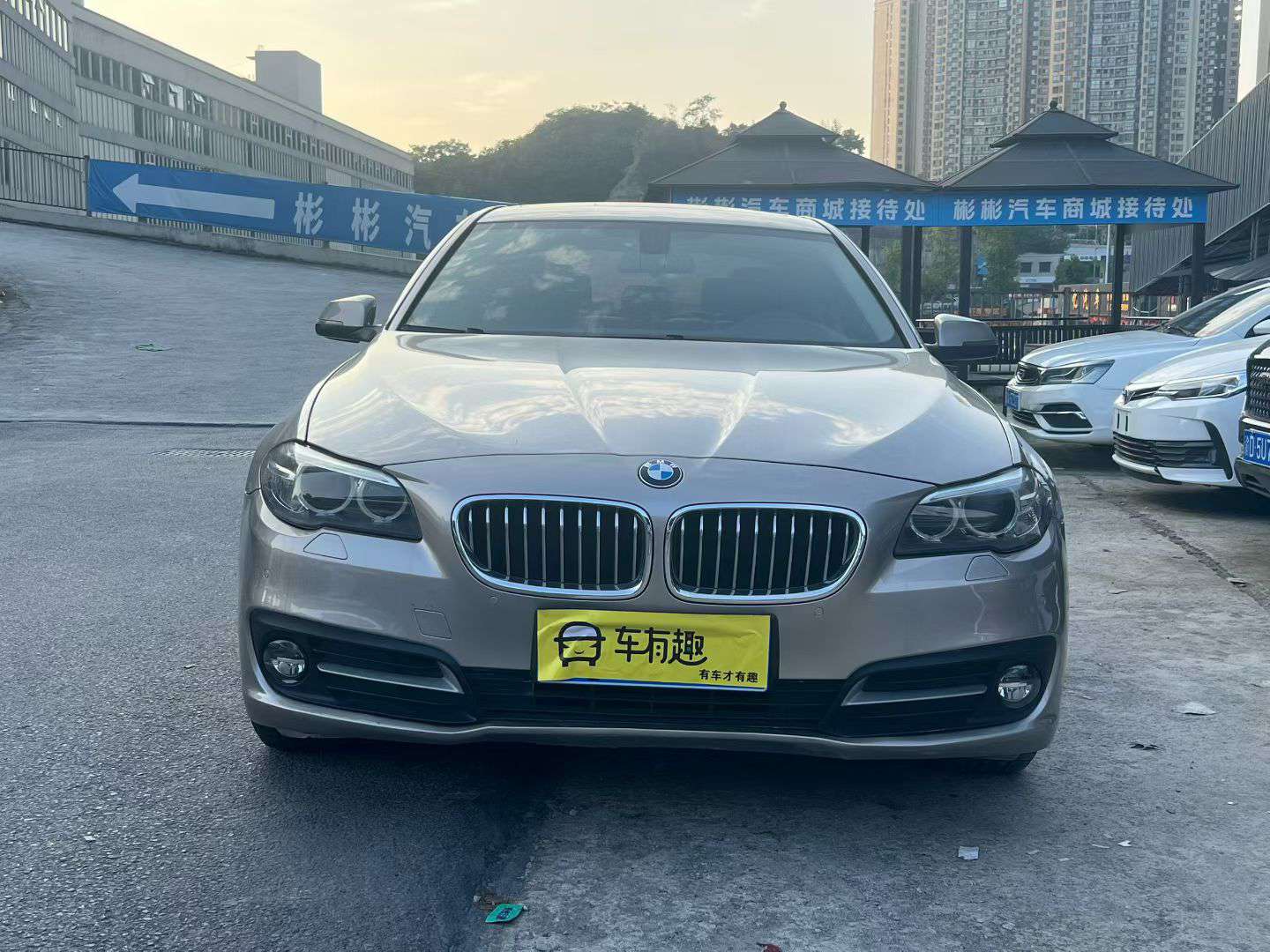 BMW 5 Series 520Li