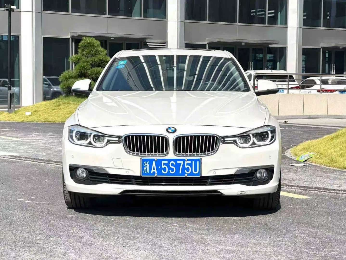 BMW 3 Series 320Li 2.0T Sport 2