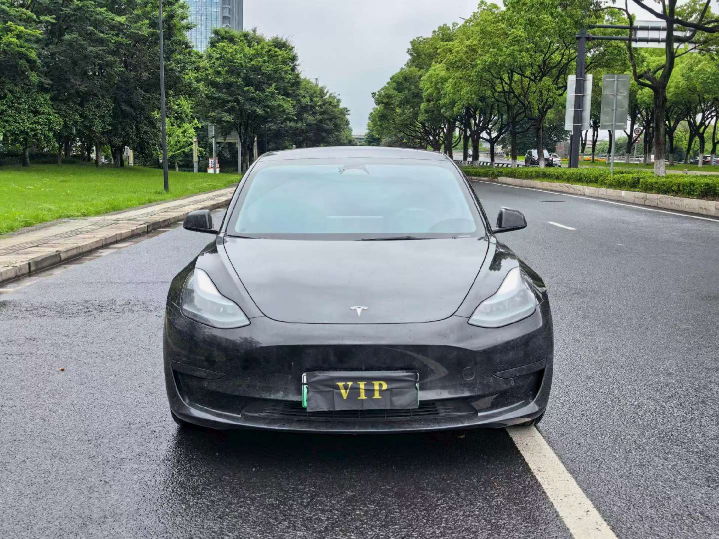 Tesla Model 2022 Rear-Wheel Drive Edition 2