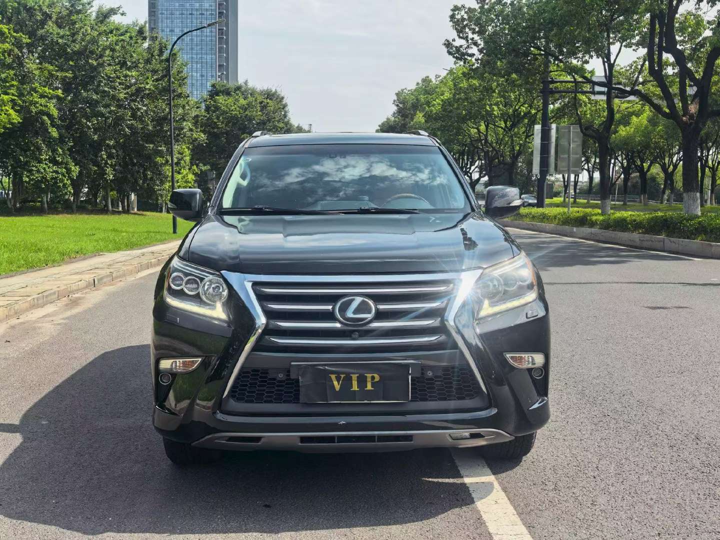 Lexus GX 2014 4.0L Premium 2