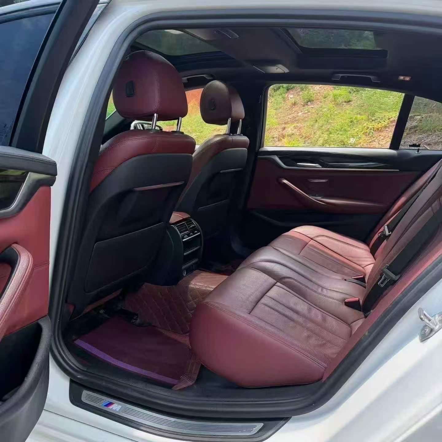 BMW 5 Series 2019 530Li M Sport 7