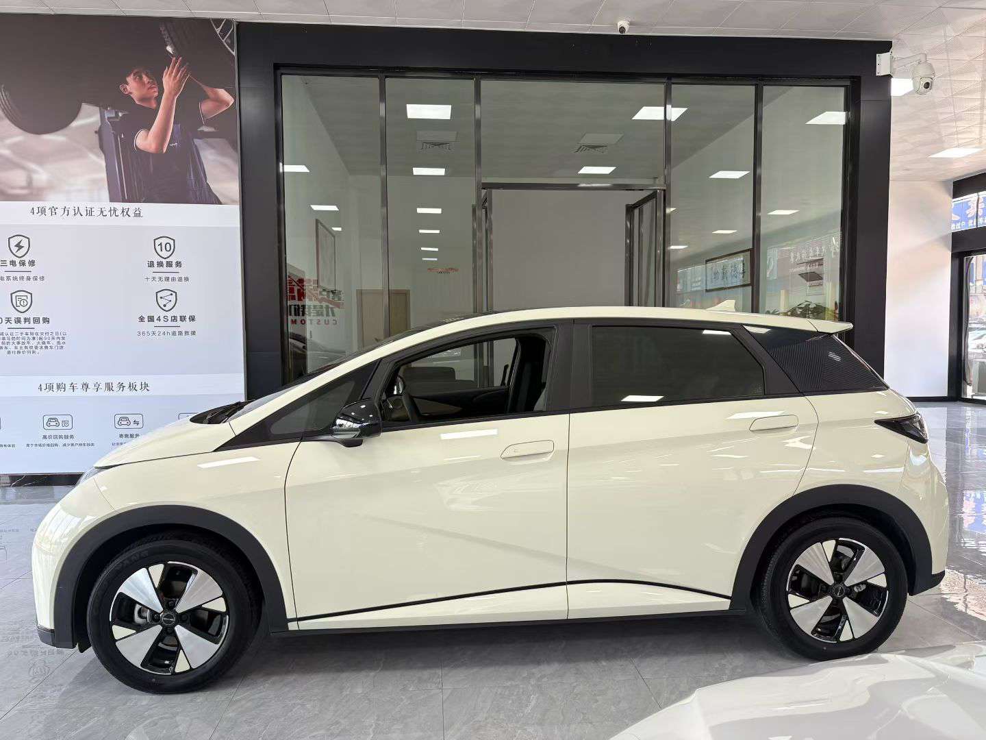 BYD Dolphin 2023 420KM Fashion Edition 3
