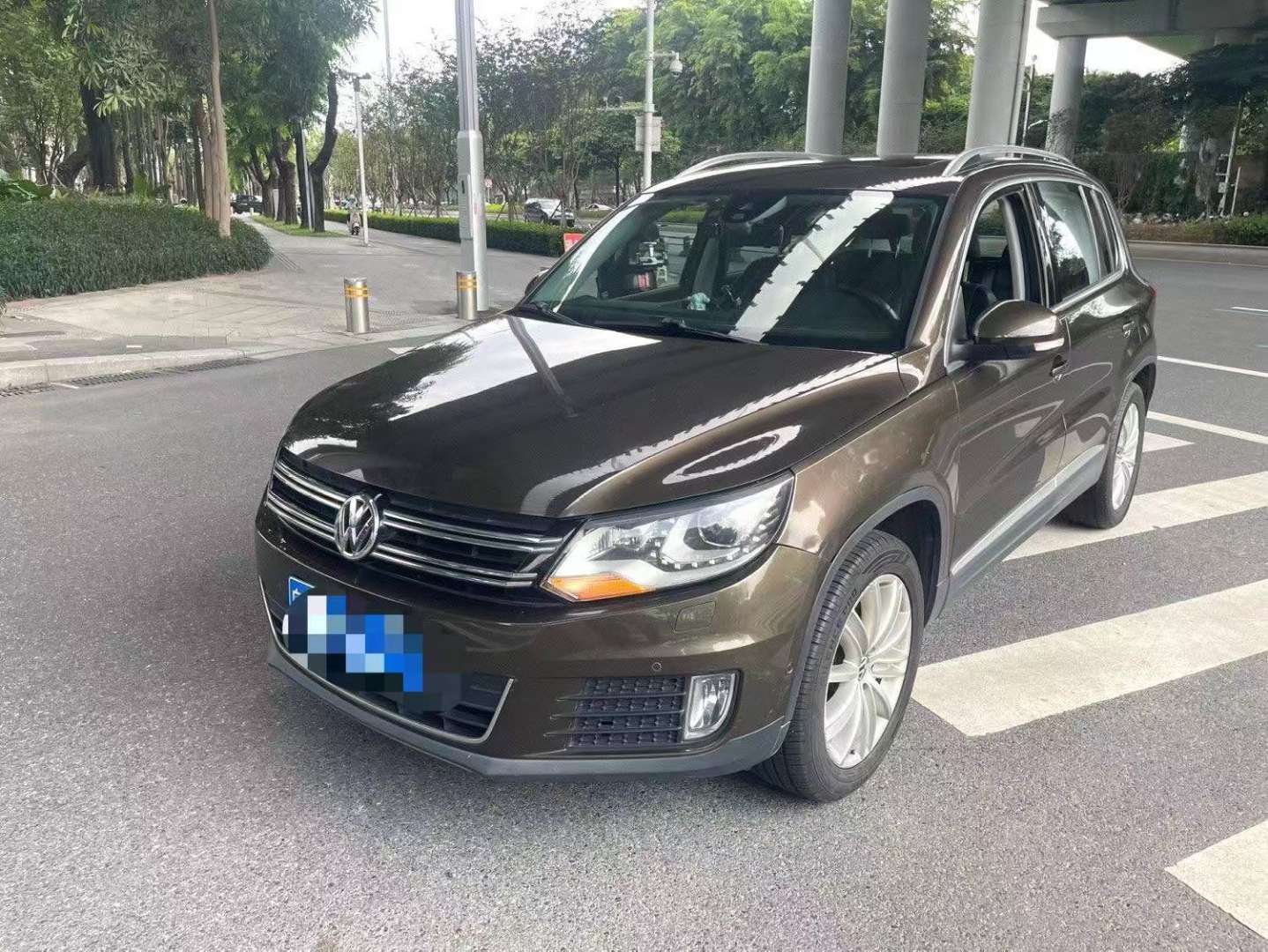Volkswagen Tiguan 2.0T 4WD Flagship