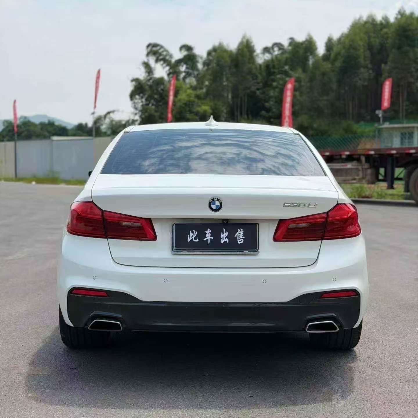 BMW 5 Series 2019 530Li M Sport 4
