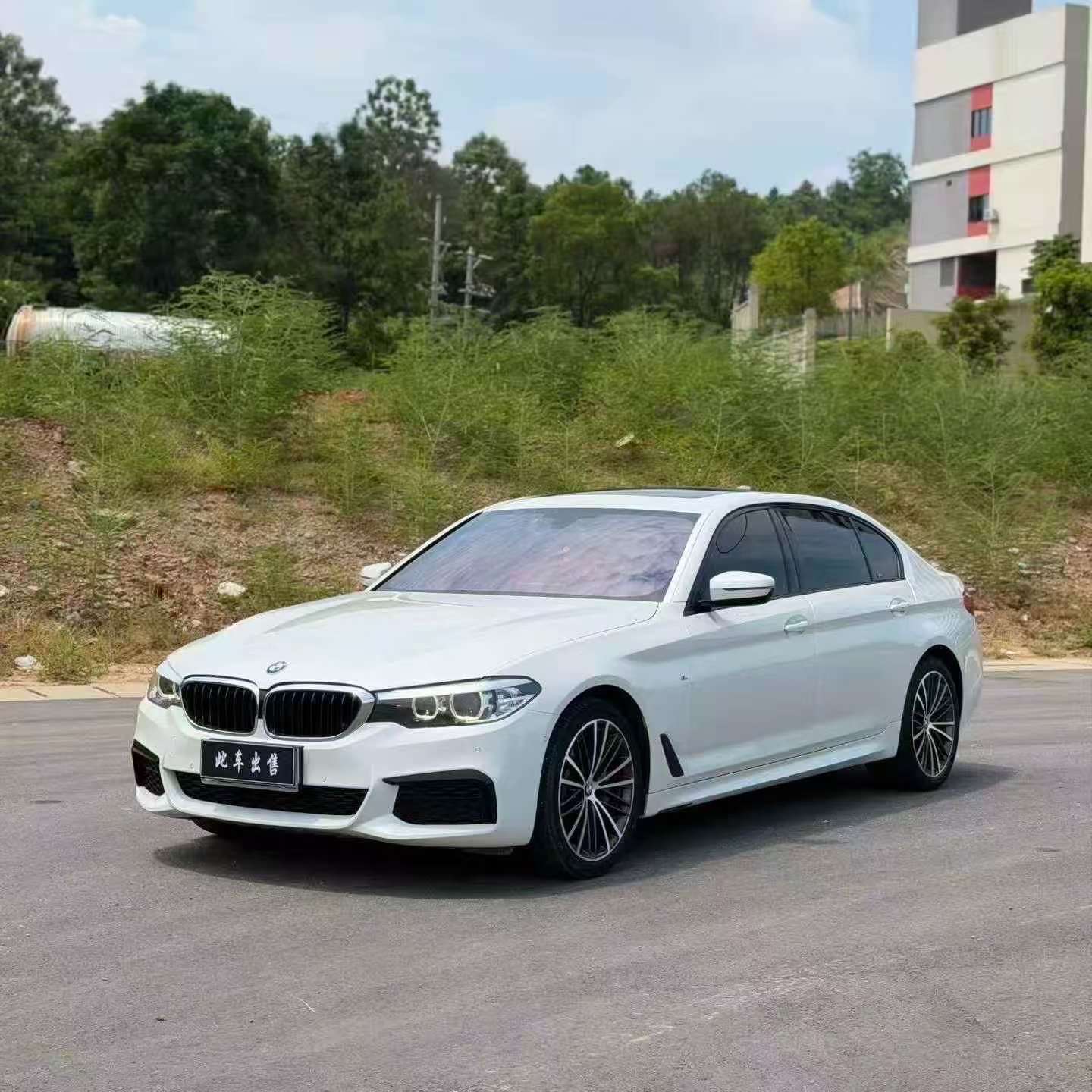BMW 5 Series 2019 530Li M Sport 2