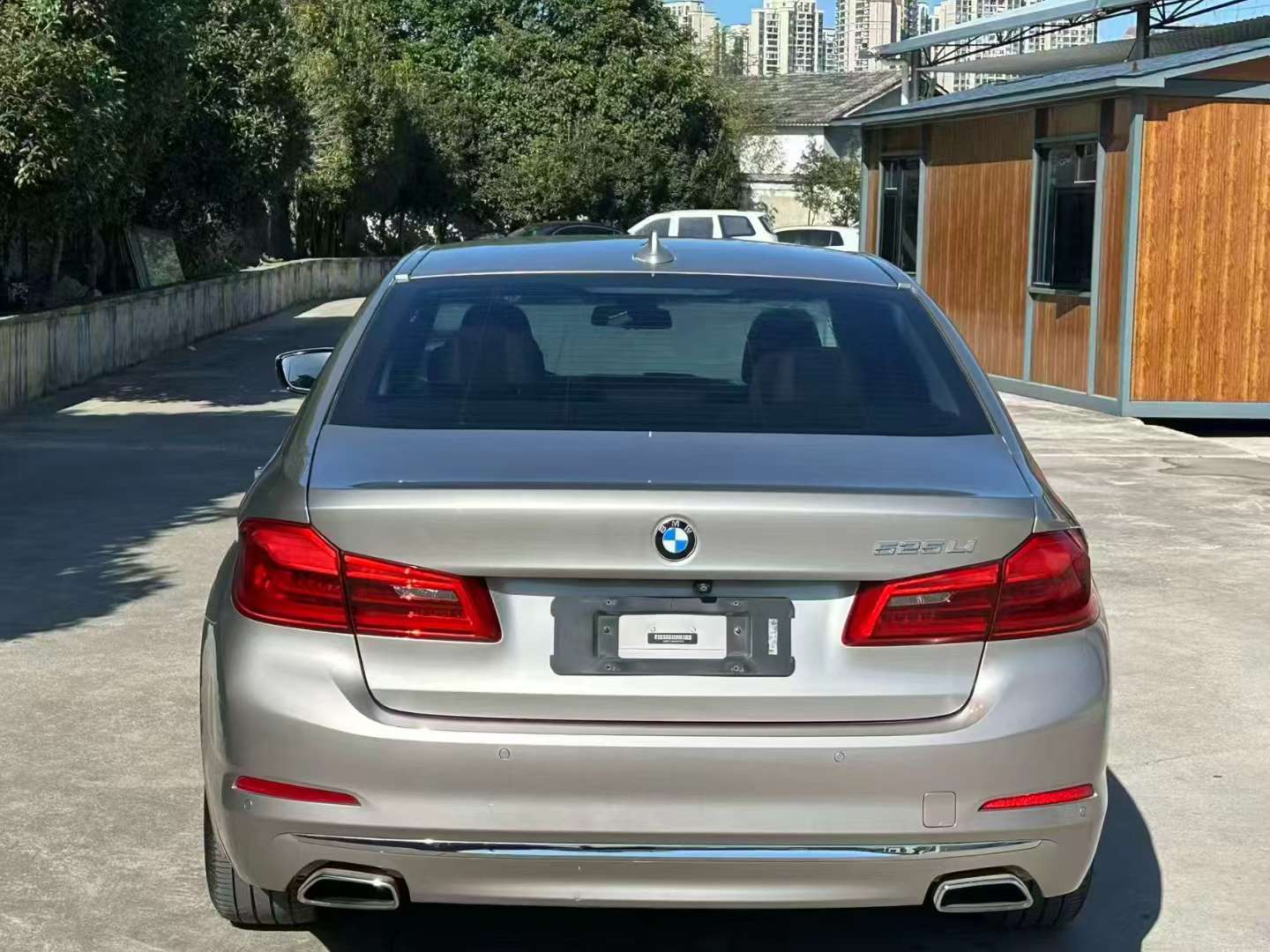 BMW 5 Series 525Li Luxury Edition 8