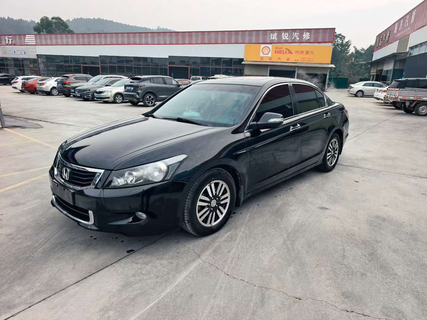 Honda Accord