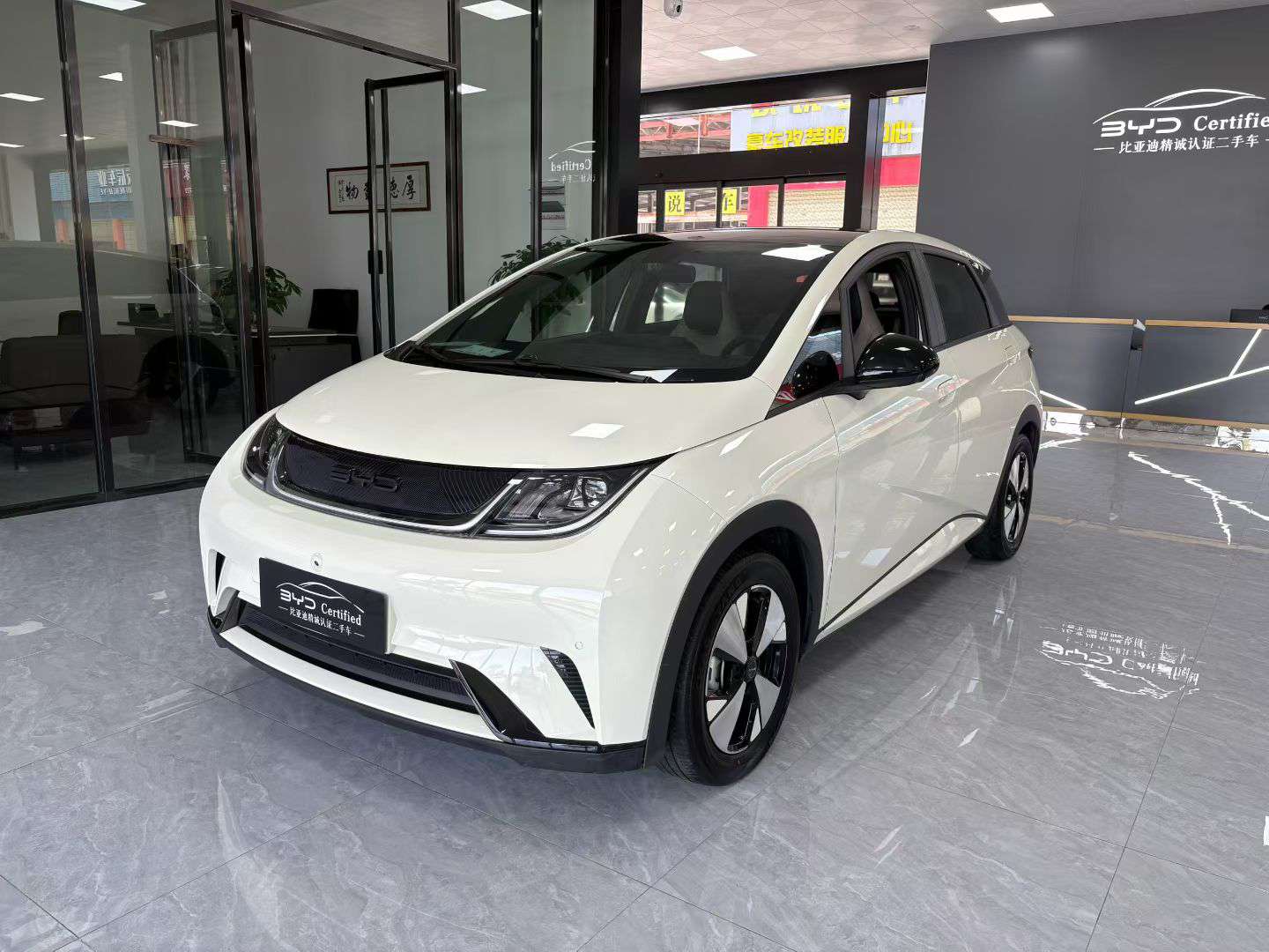 BYD Dolphin 2023 420KM Fashion Edition 2