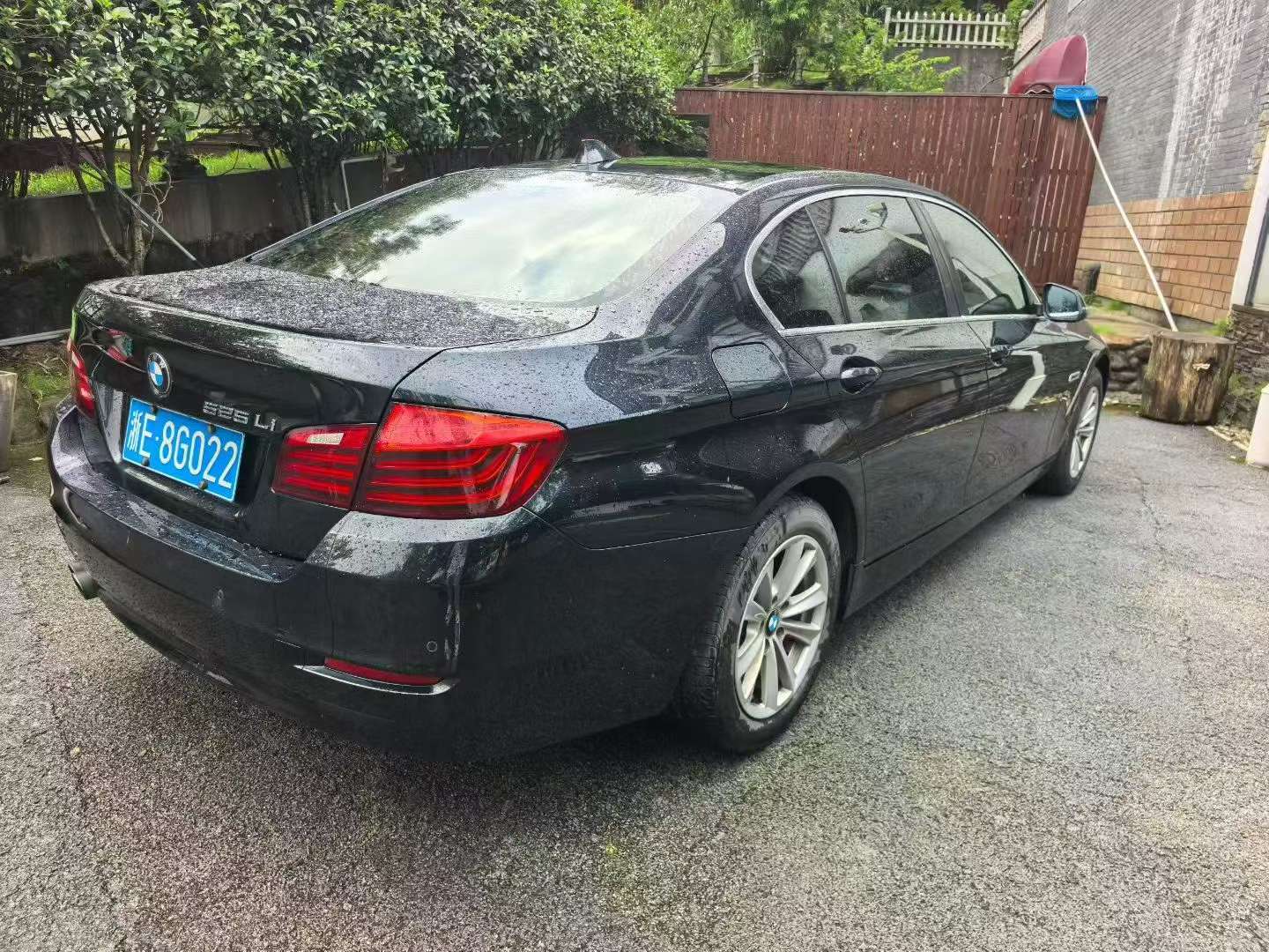BMW 5 Series 2017 520Li 4