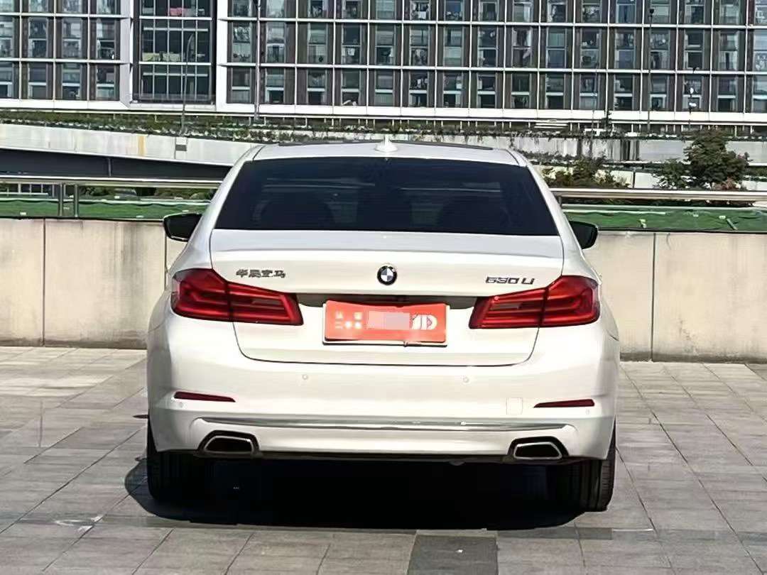 BMW 5 Series 530Li 2.0T Leading Luxury Package 4