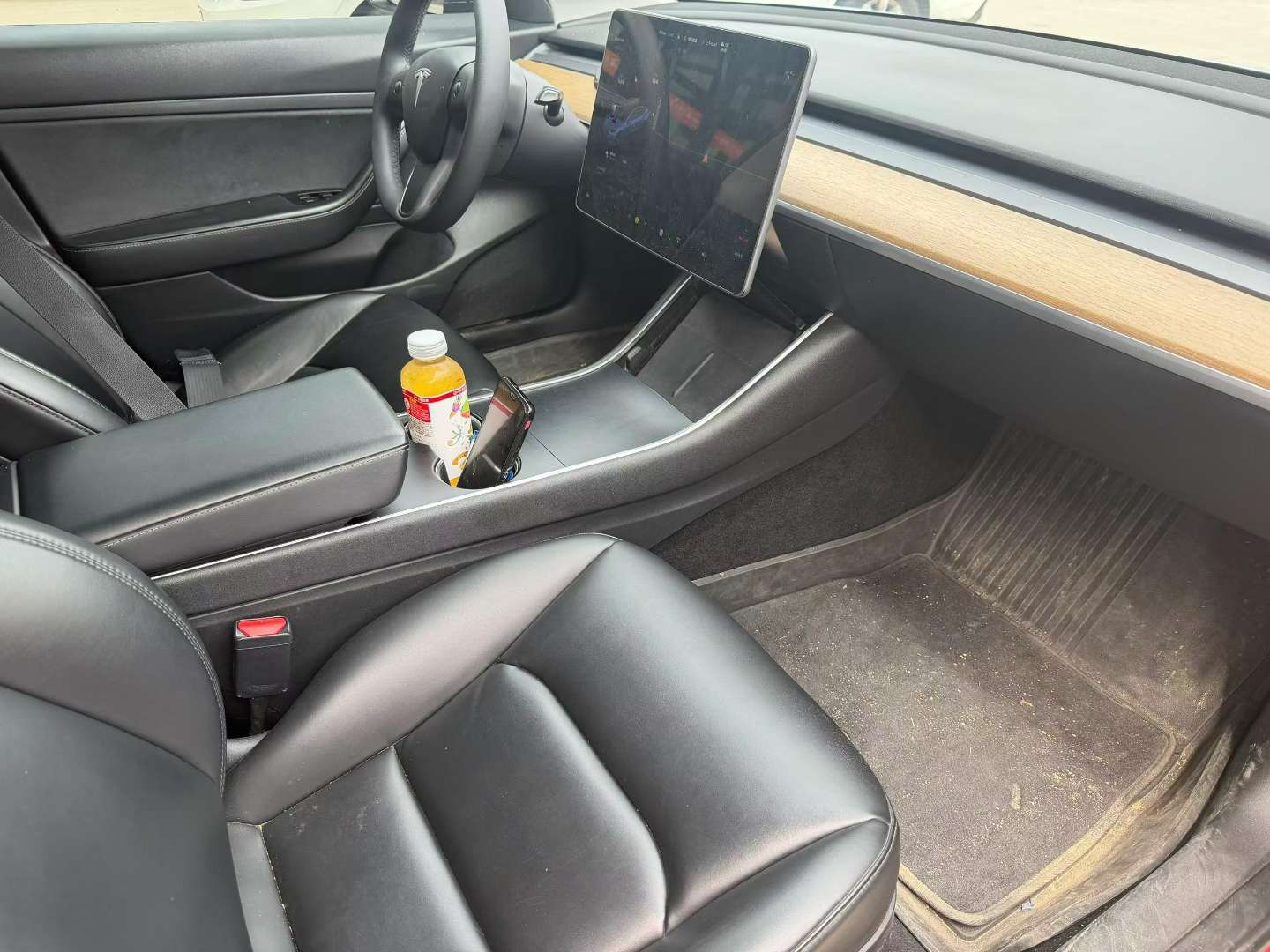 Tesla Model 3 Standard Range 5