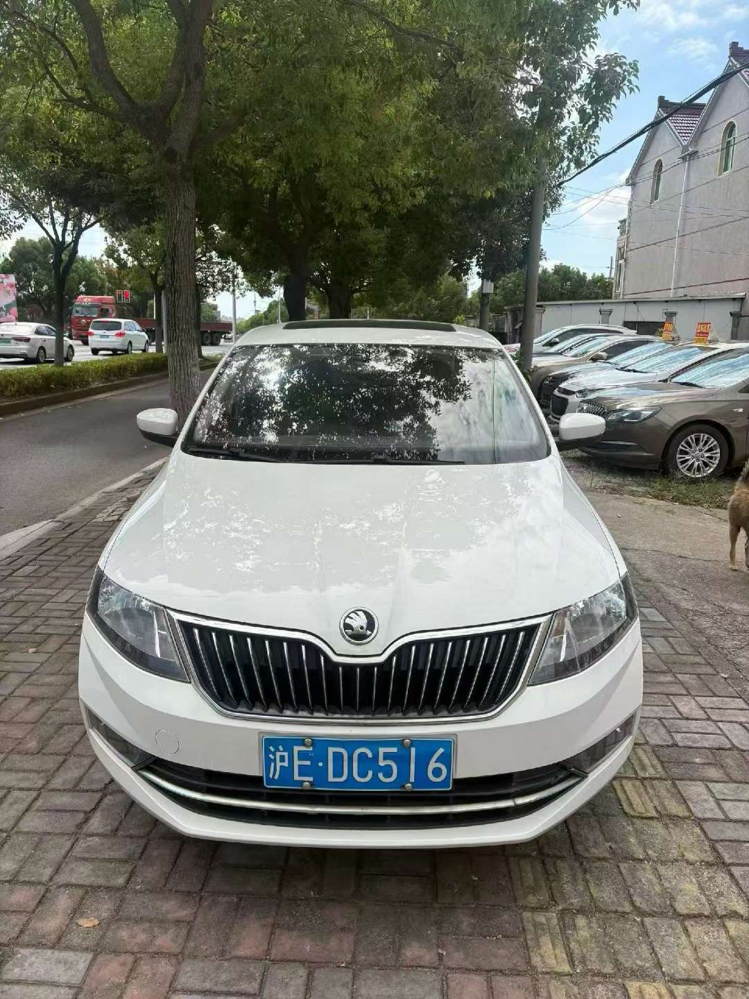 Skoda Rapid