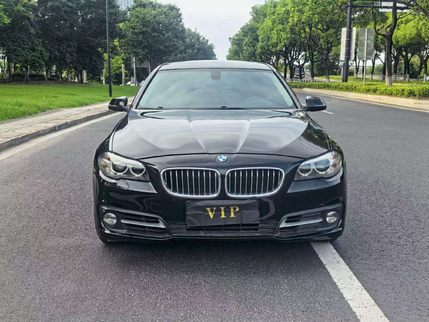 BMW 5 Series 2014 2.0T Leading Edition 2