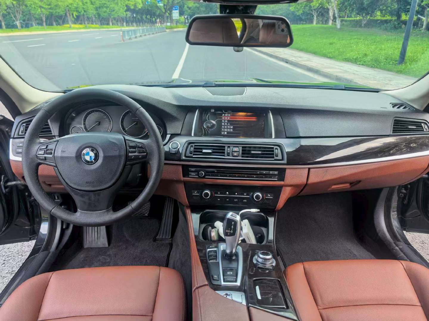 BMW 5 Series 2014 2.0T Leading Edition 4