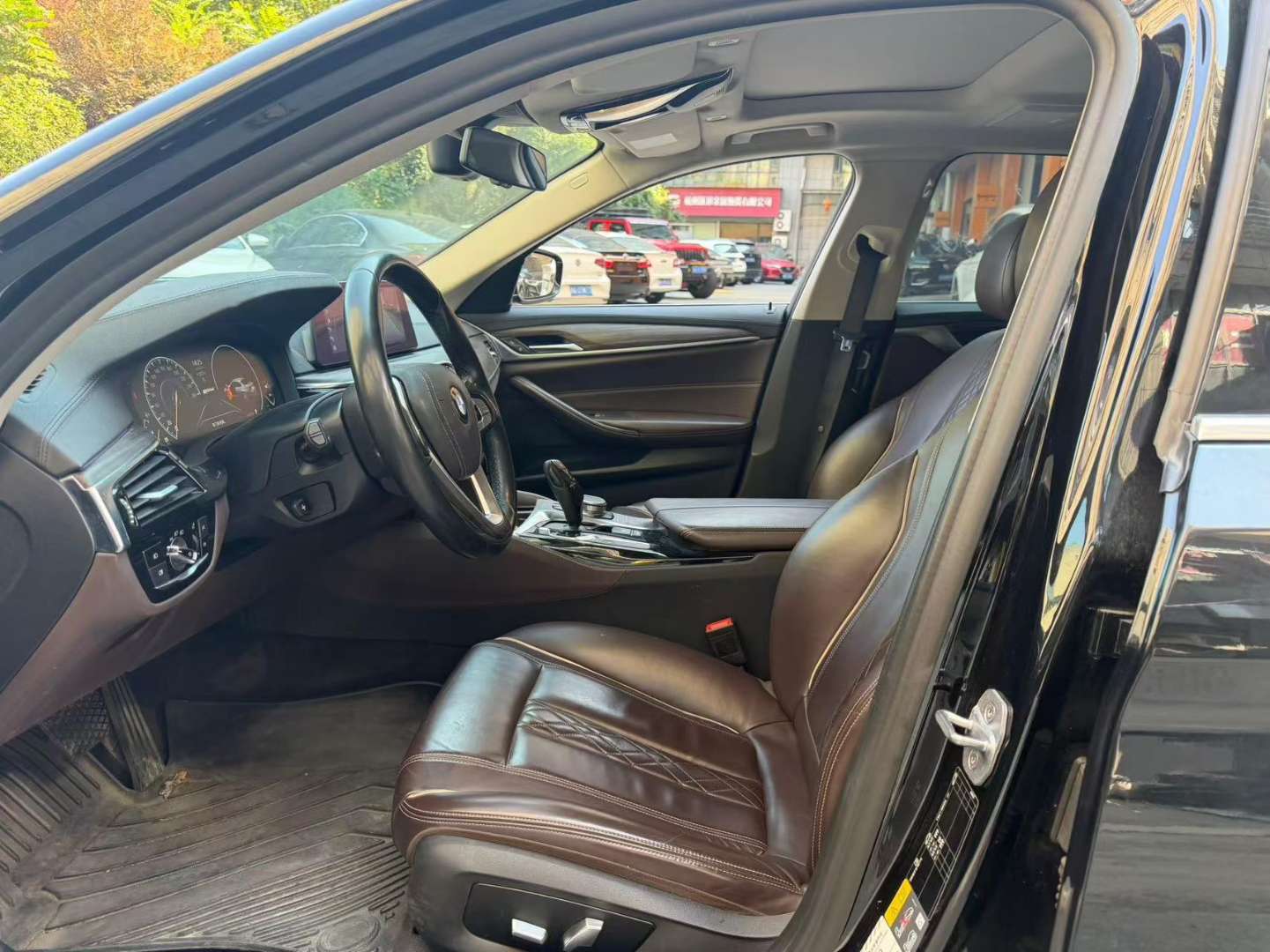 BMW 5 Series 530Le 2.0T Luxury Trim 8
