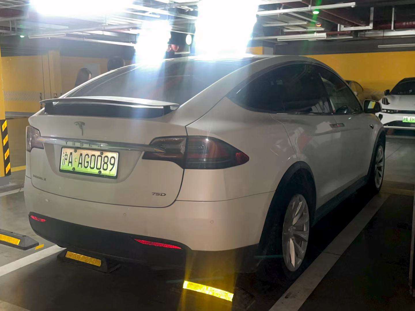 Tesla Model X 75D 9