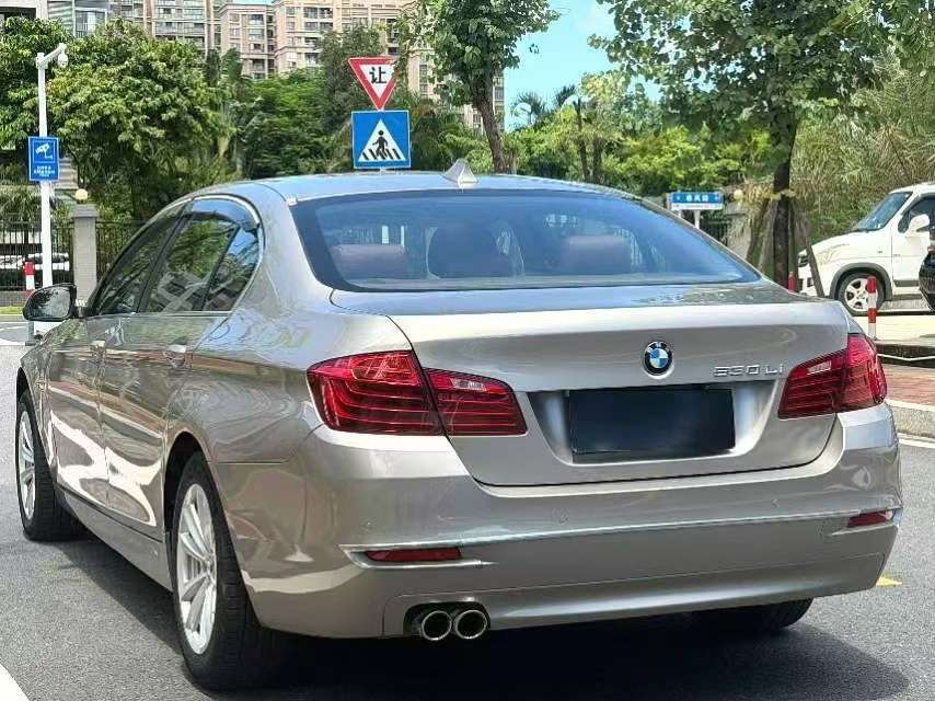 BMW 5 Series 525Li 2.0T Leading Edition 5