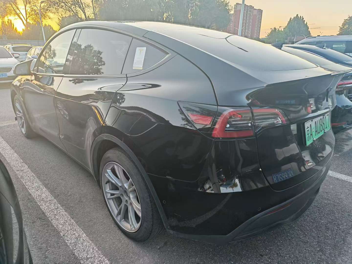 Tesla Model Y EV525 Standard Range Rear-Wheel Drive 5