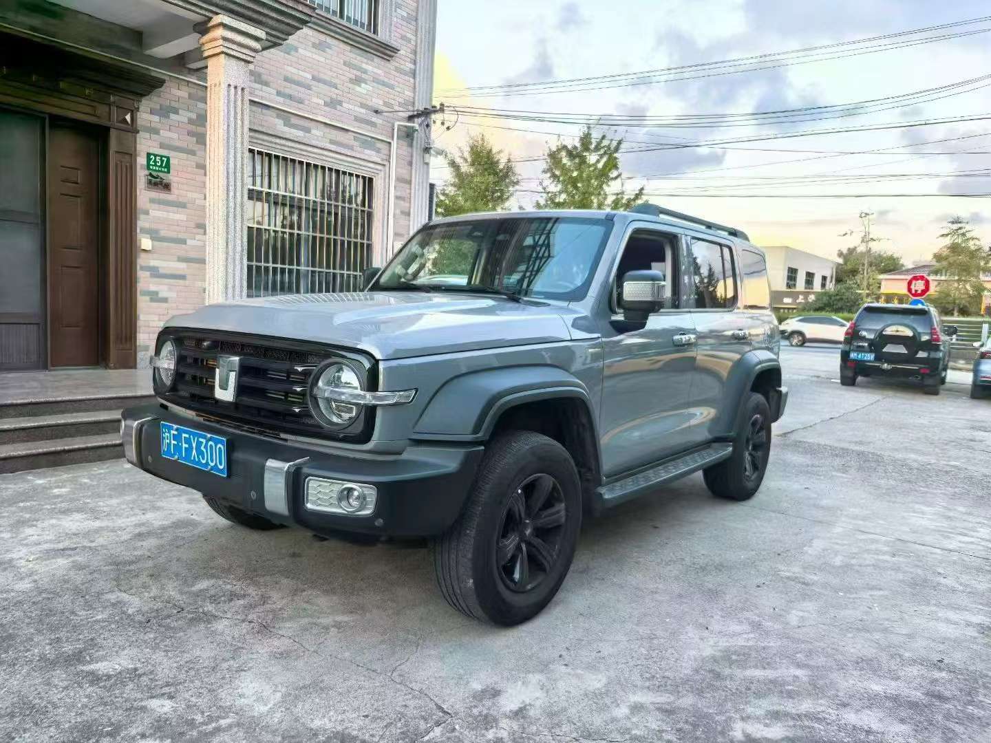 TANK 300