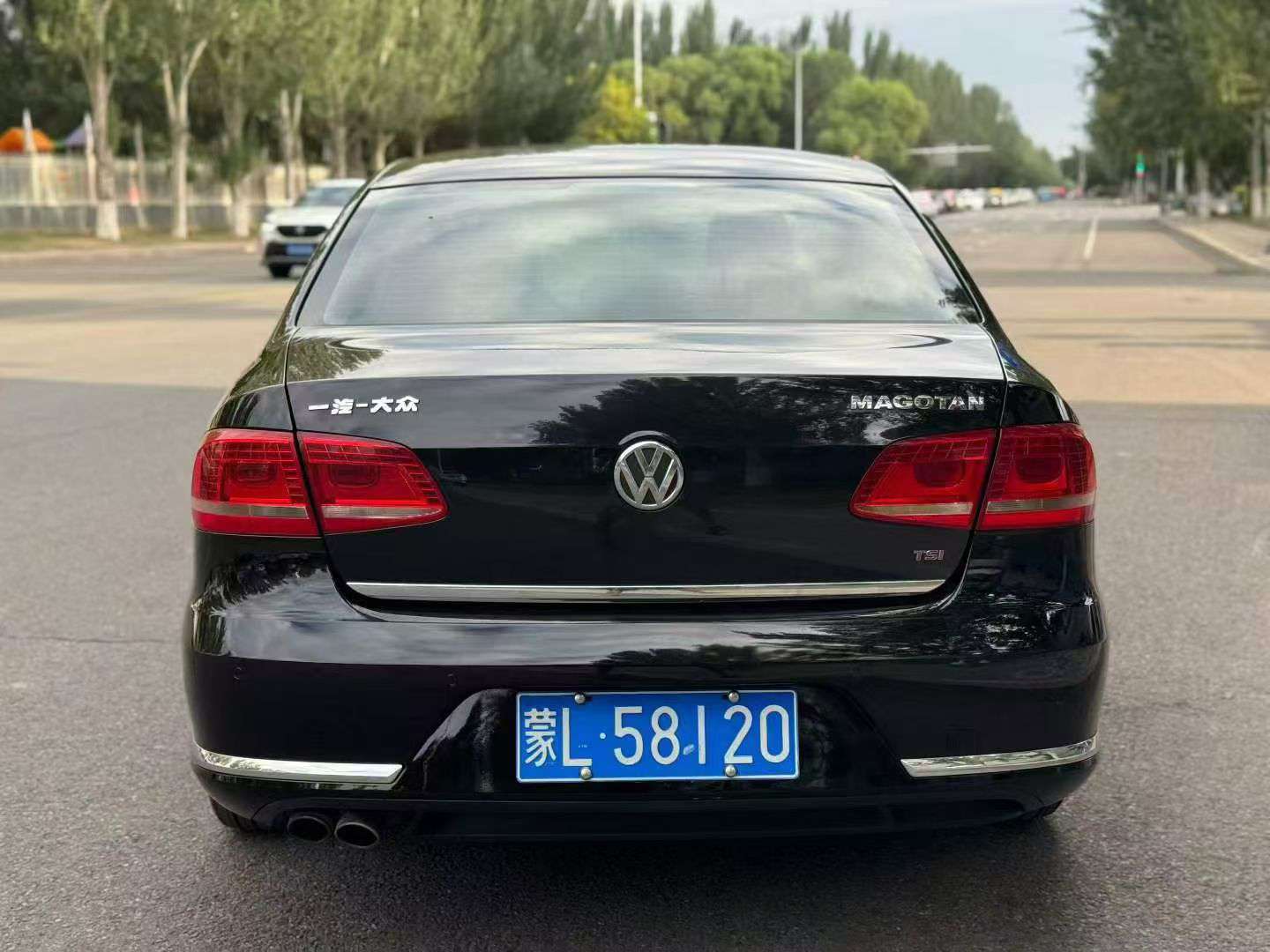 Volkswagen Magotan 1.8T 8
