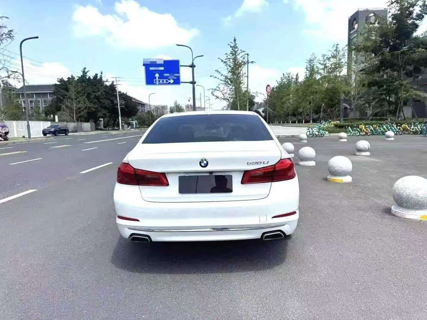 BMW 5 Series 530Li 2.0T Luxury Elite Edition 2