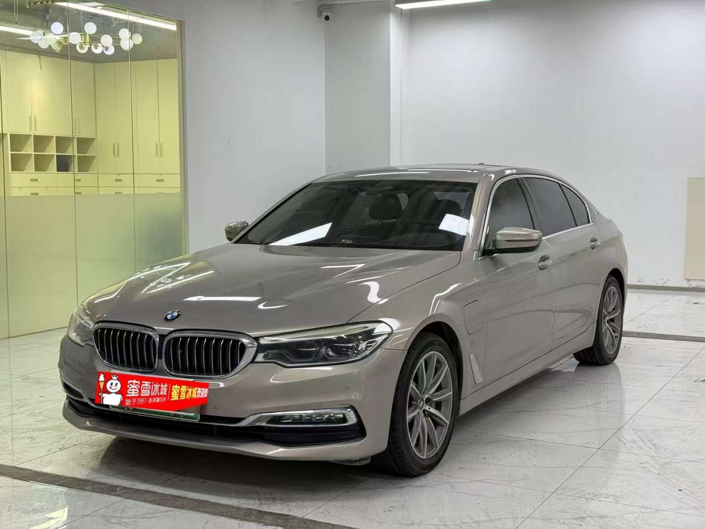 BMW 5 Series 2019 530Le Luxury Edition 2.0T