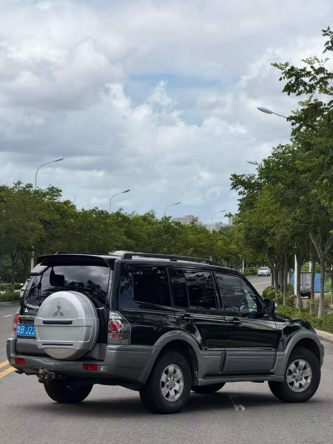 Mitsubishi Pajero 2010 V73 GLS Top Trim 3
