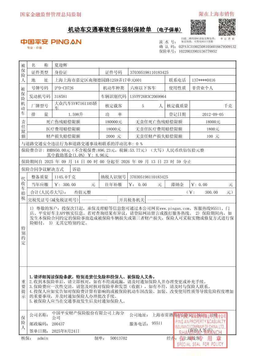 Volkswagen Polo 1.6Cross 8