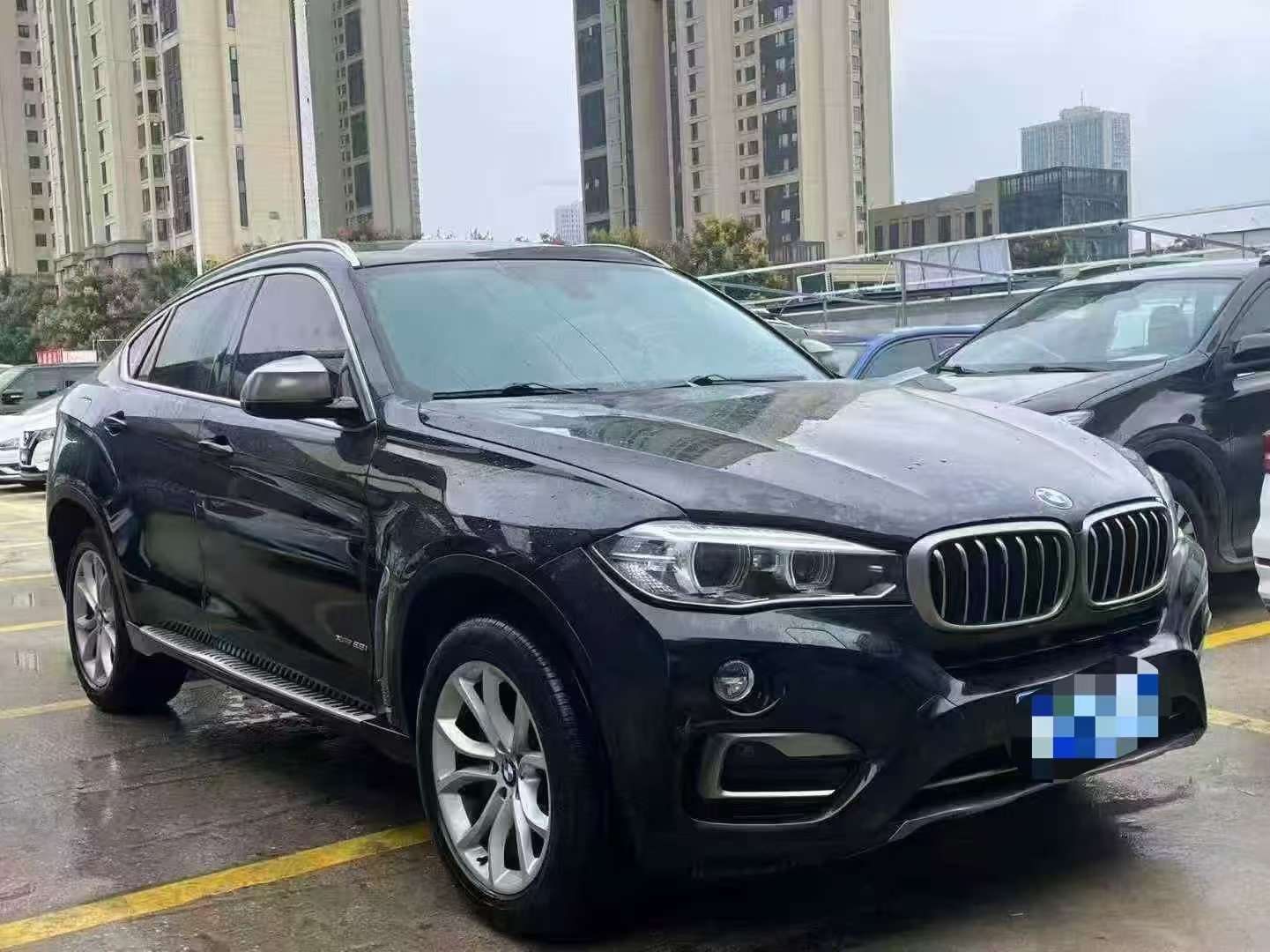 BMW X6 2.0T 2
