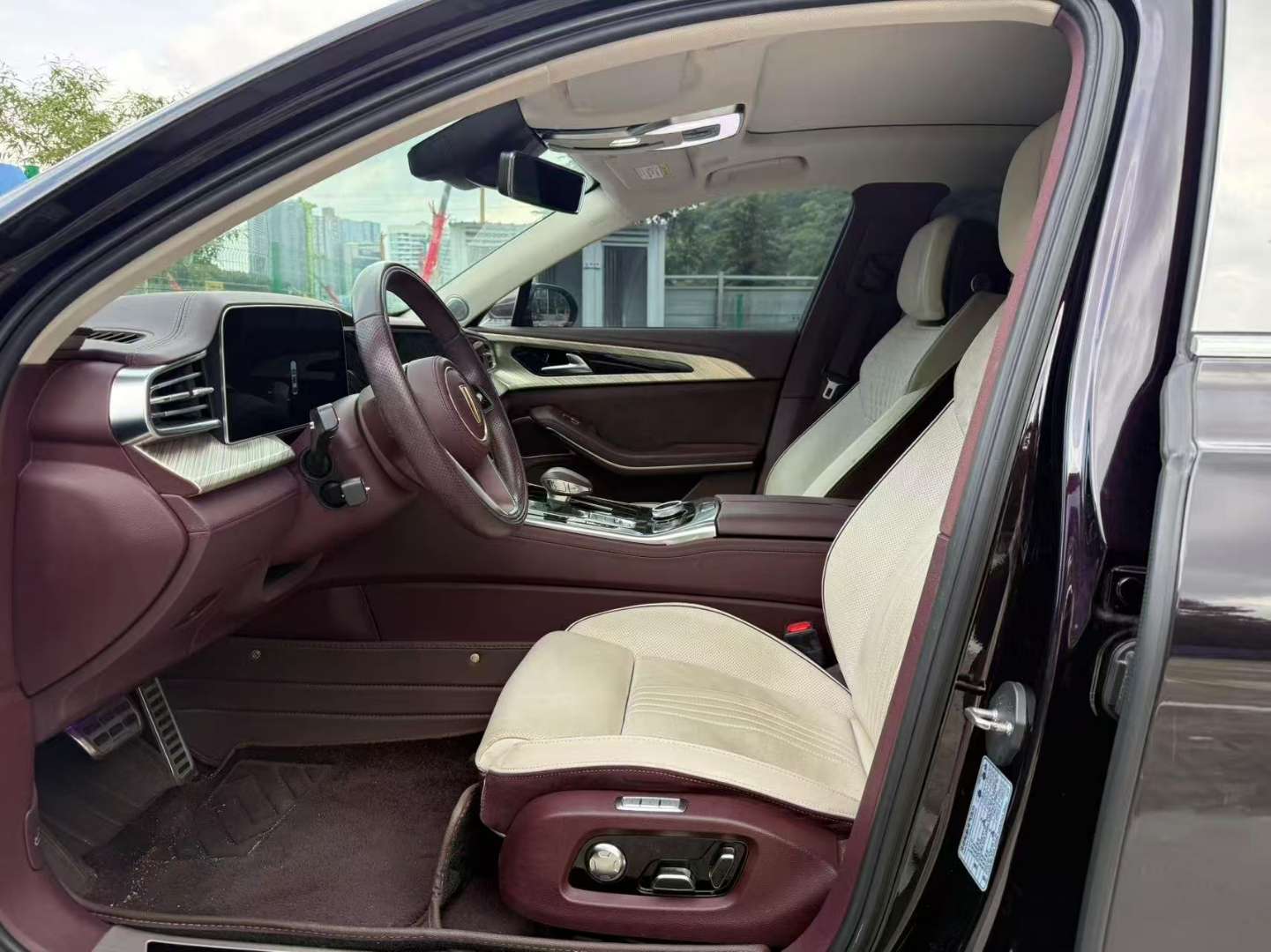 Hongqi H9 2.0T Smart Connected Qichang Edition 6