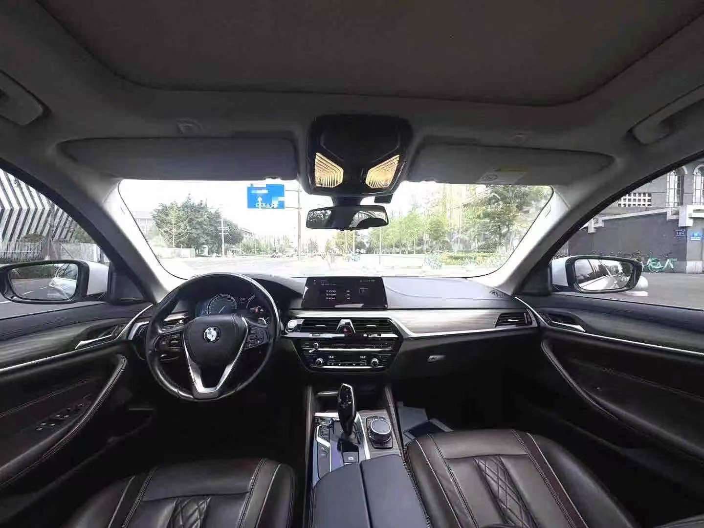 BMW 5 Series 530Li 2.0T Luxury Elite Edition 4