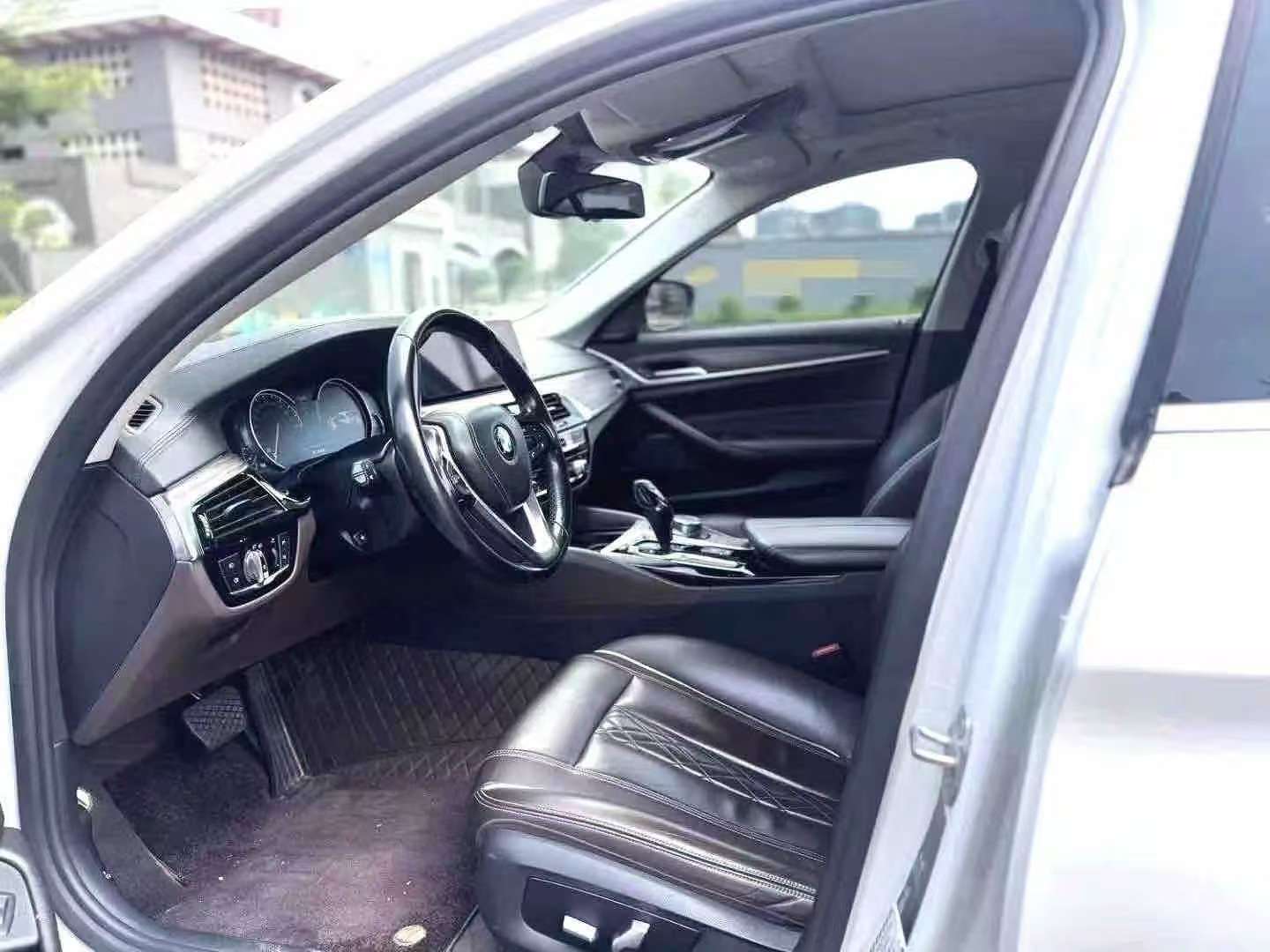 BMW 5 Series 530Li 2.0T Luxury Elite Edition 3