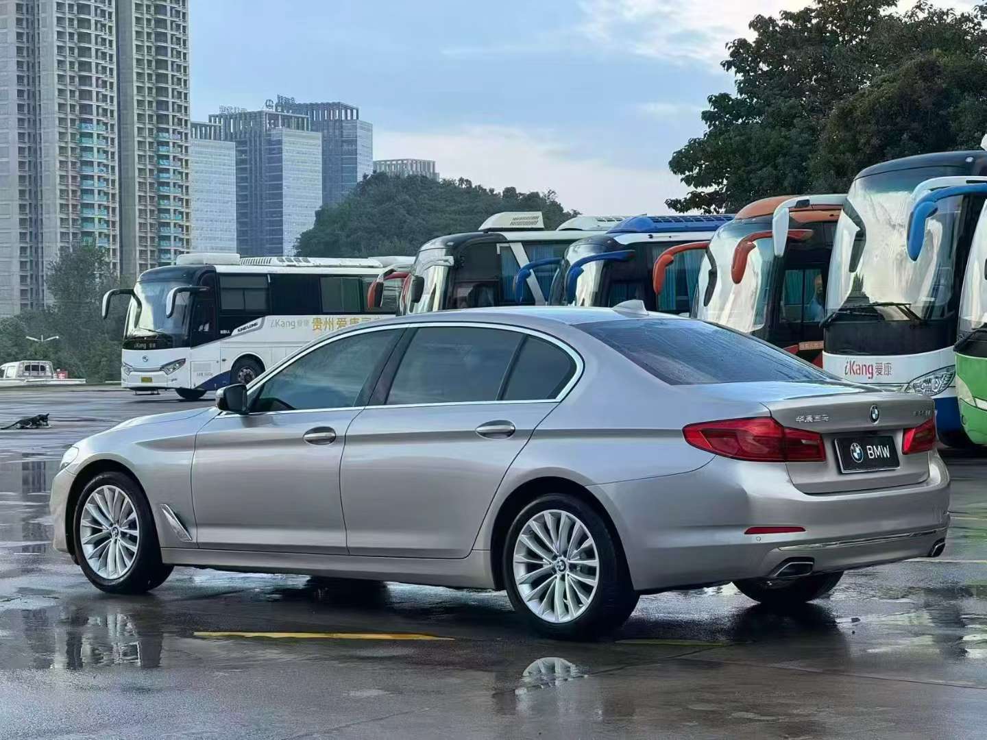 BMW 5 Series 525Li Luxury Edition 9