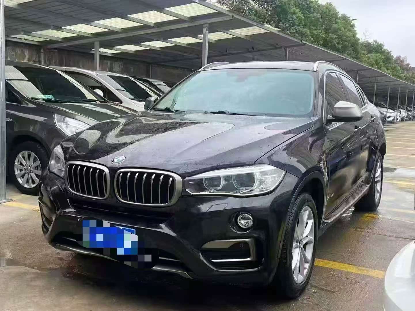 BMW X6 2.0T