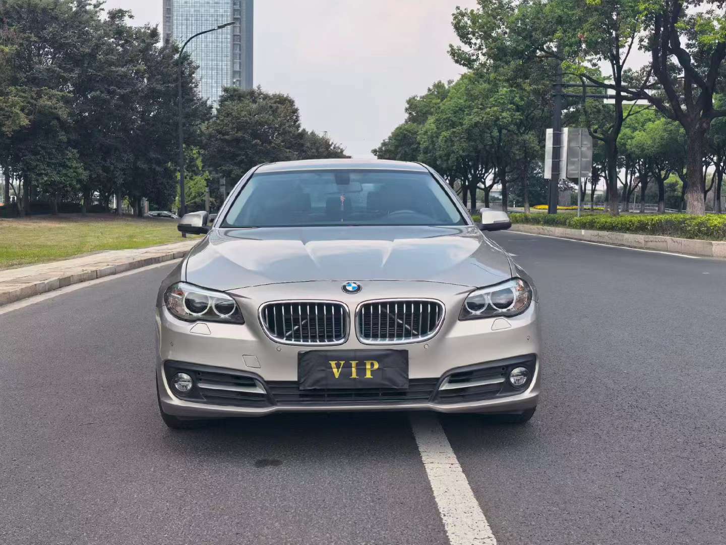 BMW 5 Series 2014 525Li 2.0T Leading Edition 2
