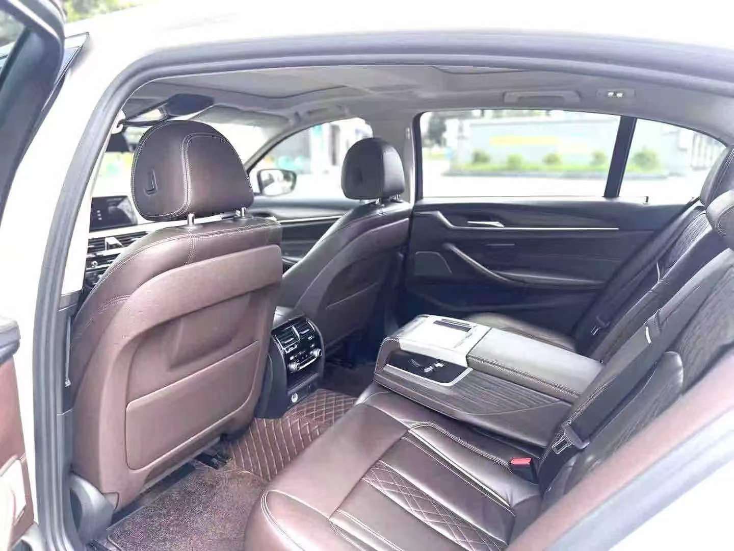 BMW 5 Series 530Li 2.0T Luxury Elite Edition 5