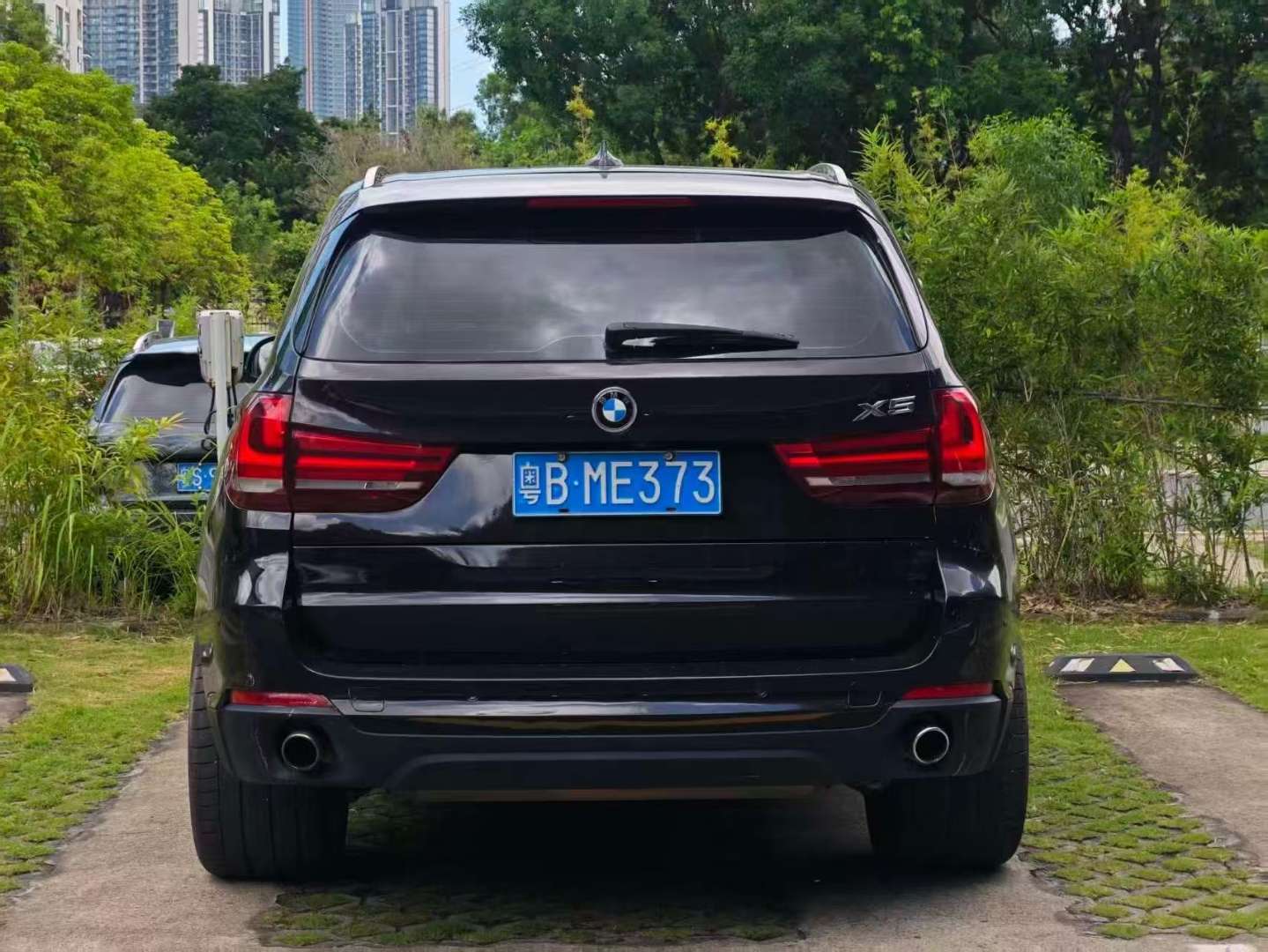 BMW X5 2014 xDrive35i Leading Edition 3