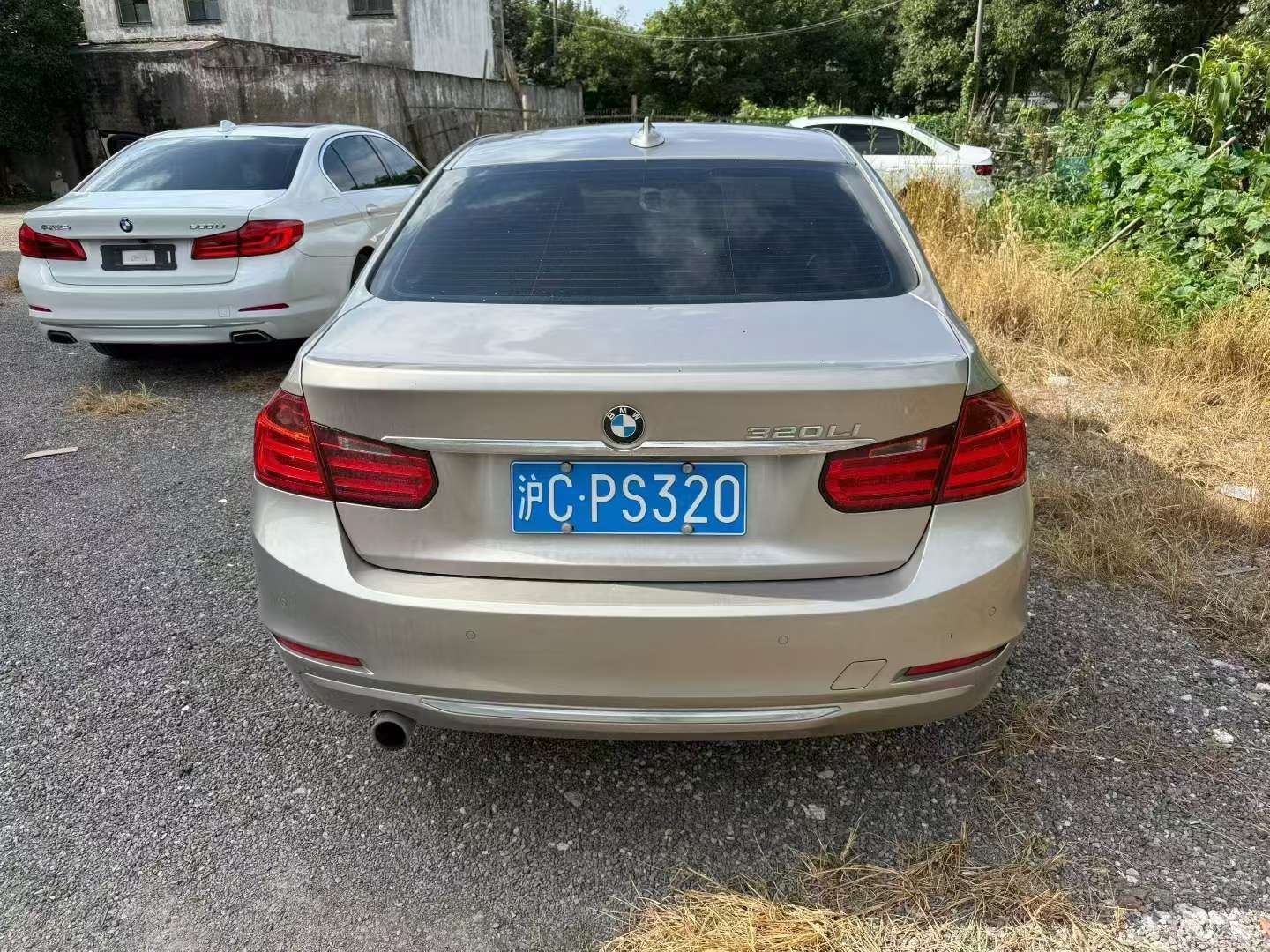 BMW 3 Series 320Li Fashion 2