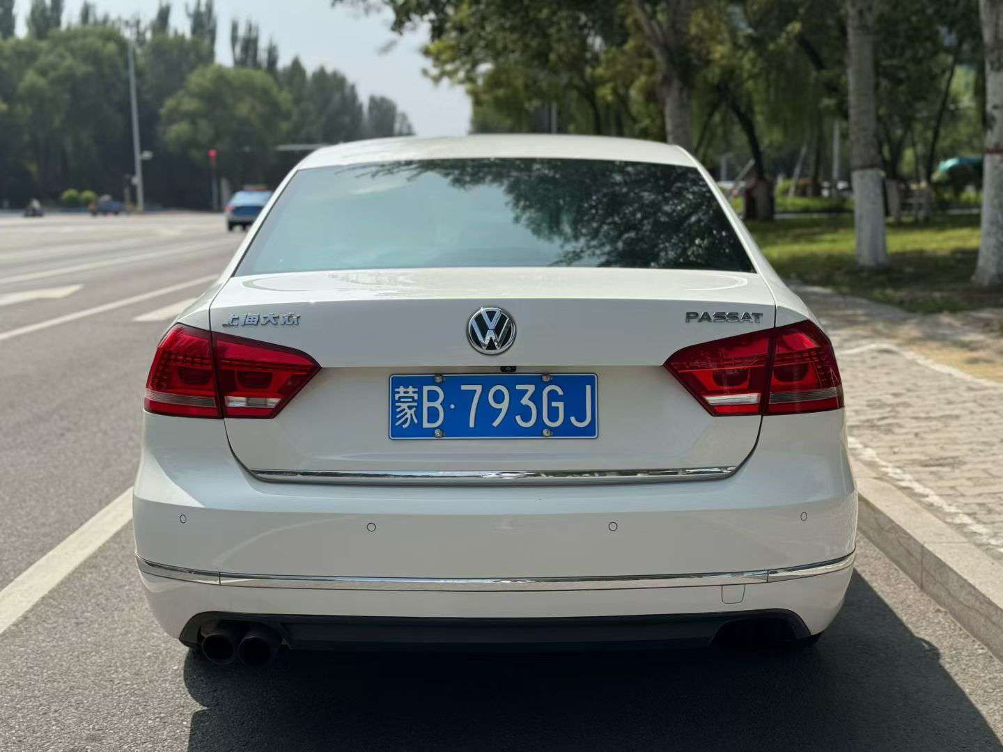 Volkswagen Passat 2013 2.0T 8