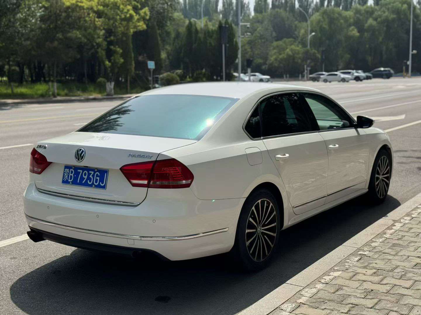 Volkswagen Passat 2013 2.0T 9