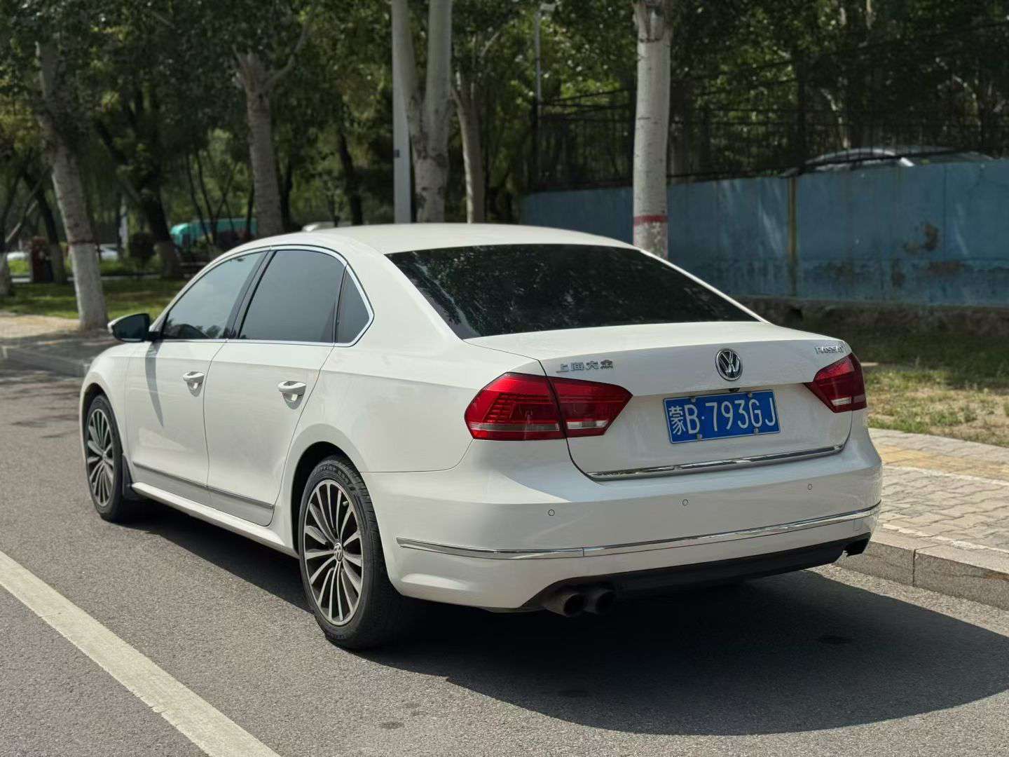 Volkswagen Passat 2013 2.0T 7