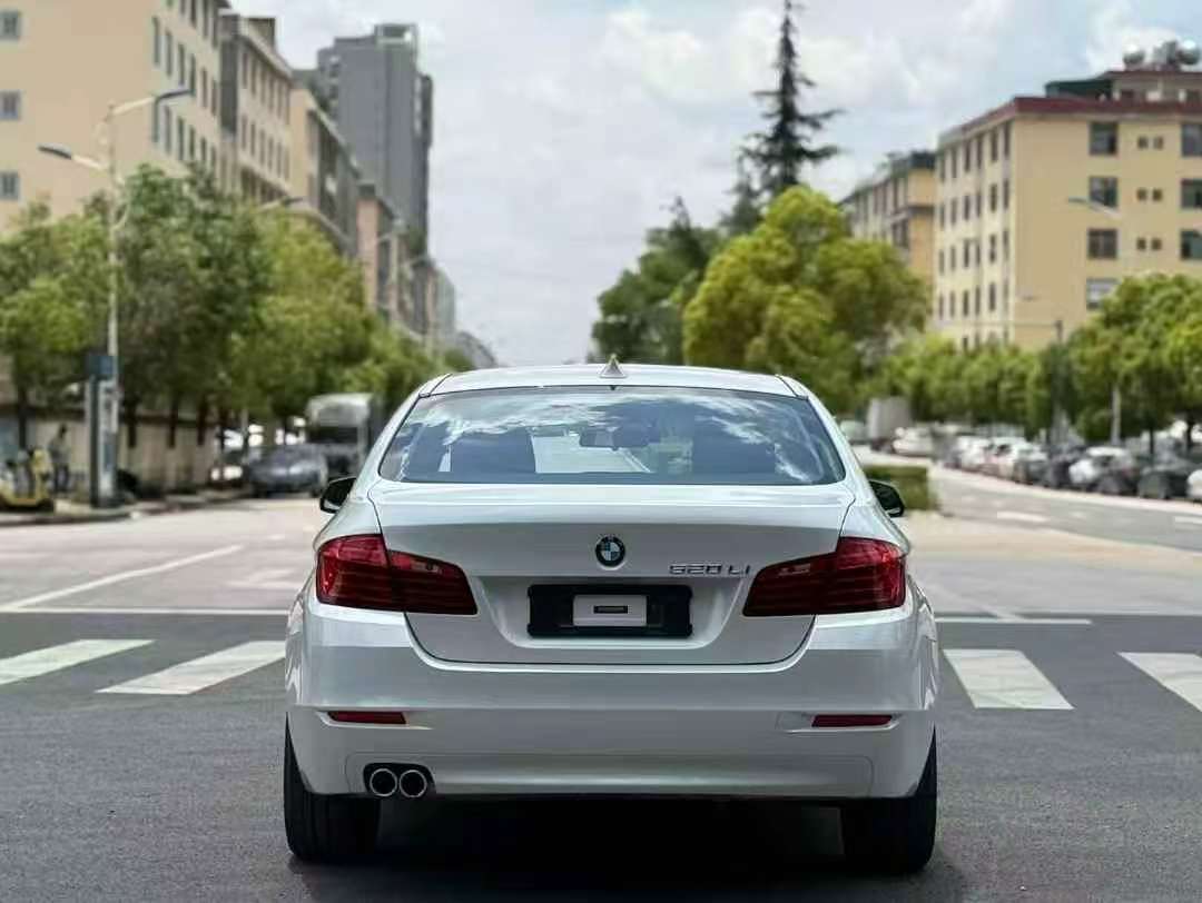 BMW 5 Series 520Li Elegant 5