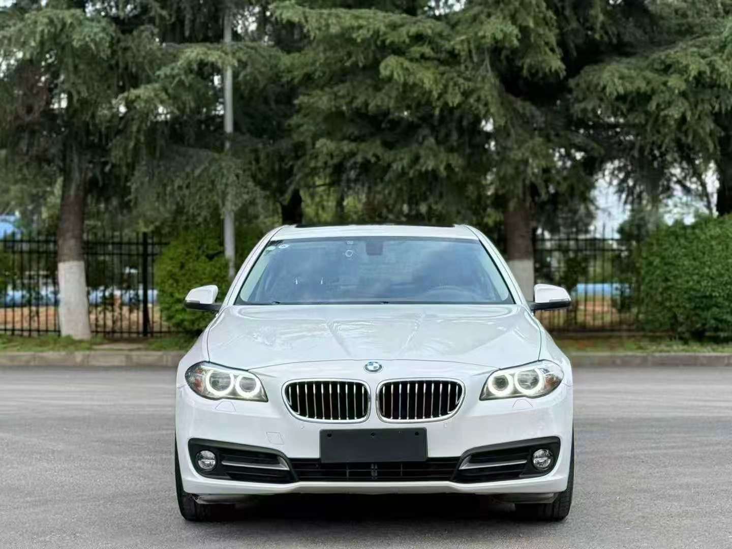 BMW 5 Series 520Li Elegant 2