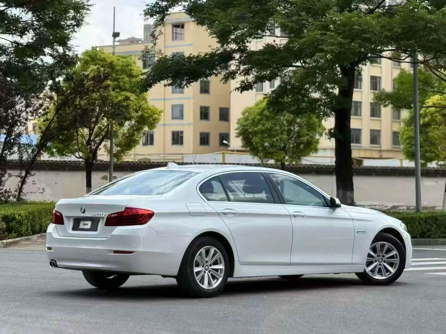 BMW 5 Series 520Li Elegant 4