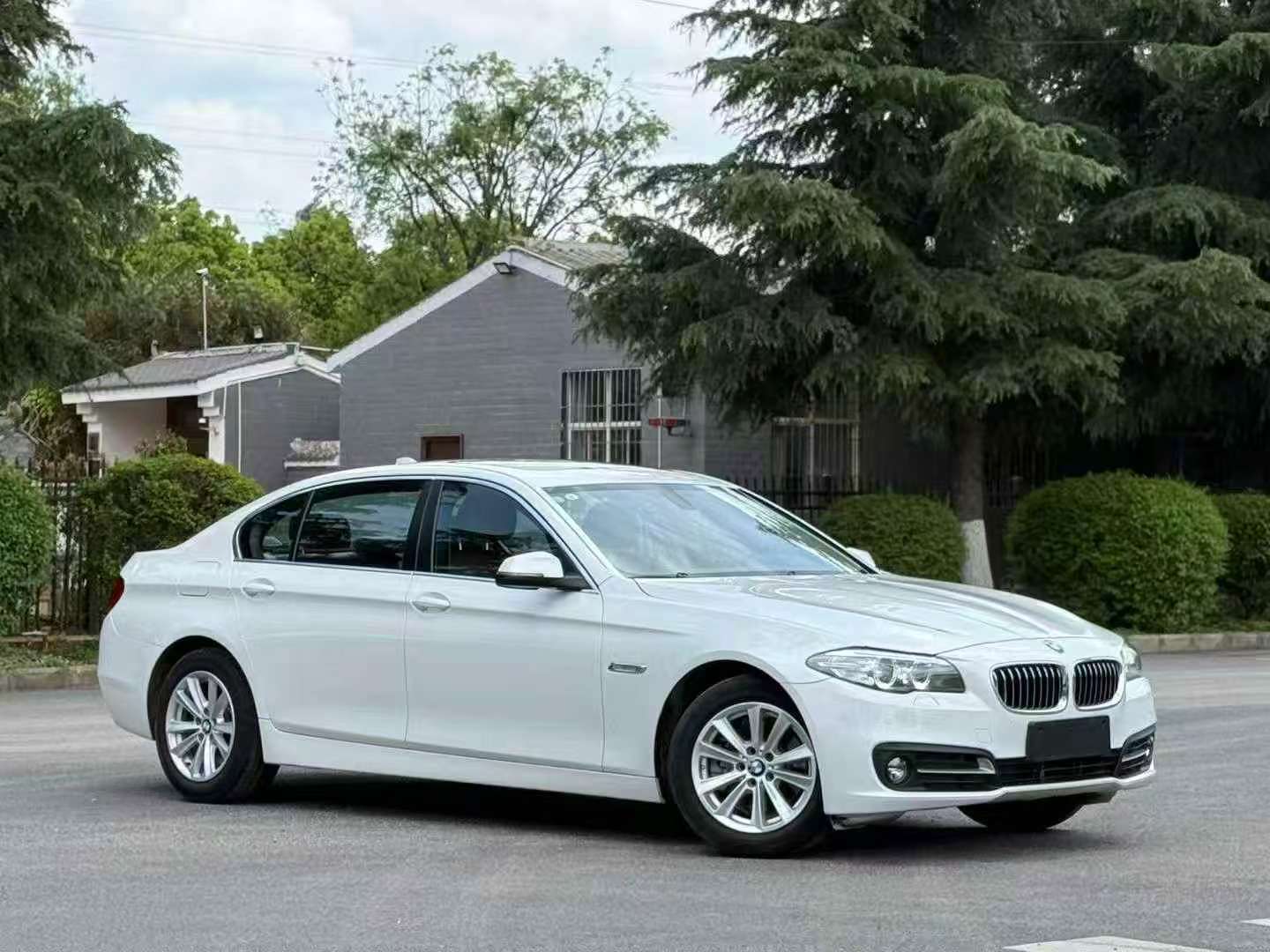 BMW 5 Series 520Li Elegant 3