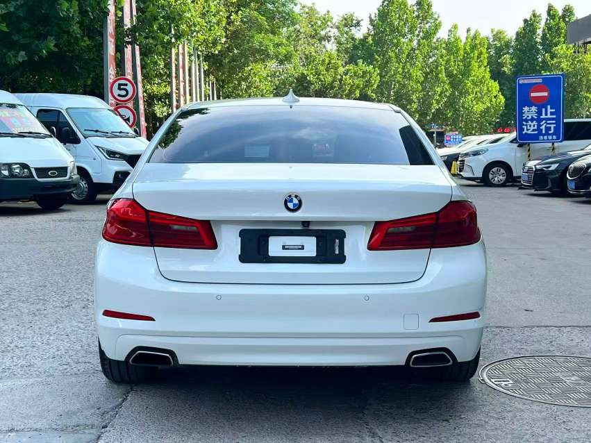 BMW 5 Series 528Li 8